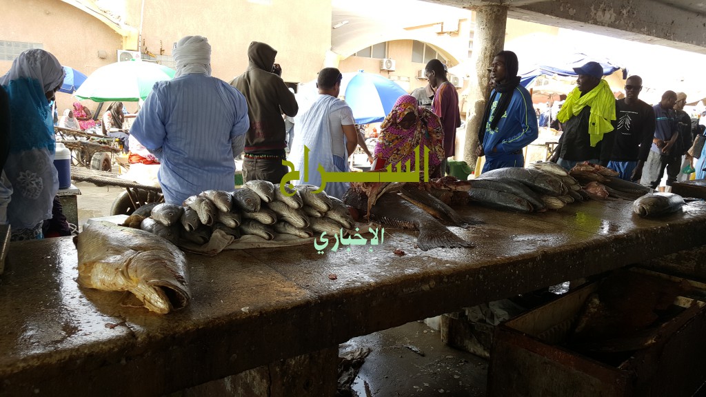 " أنواع متعددة معروضة للبيع "