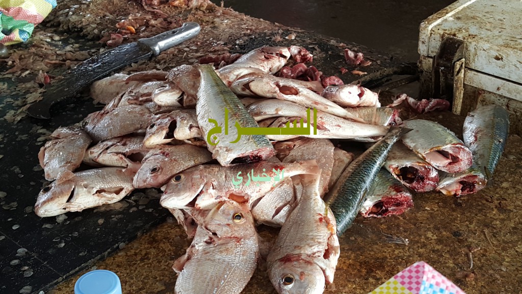 " بعض الأنواع الكثيرة "