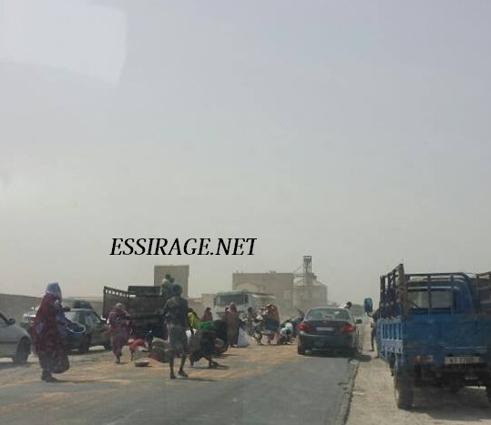 " النسوة والأطفال خلال جمع القمح " 